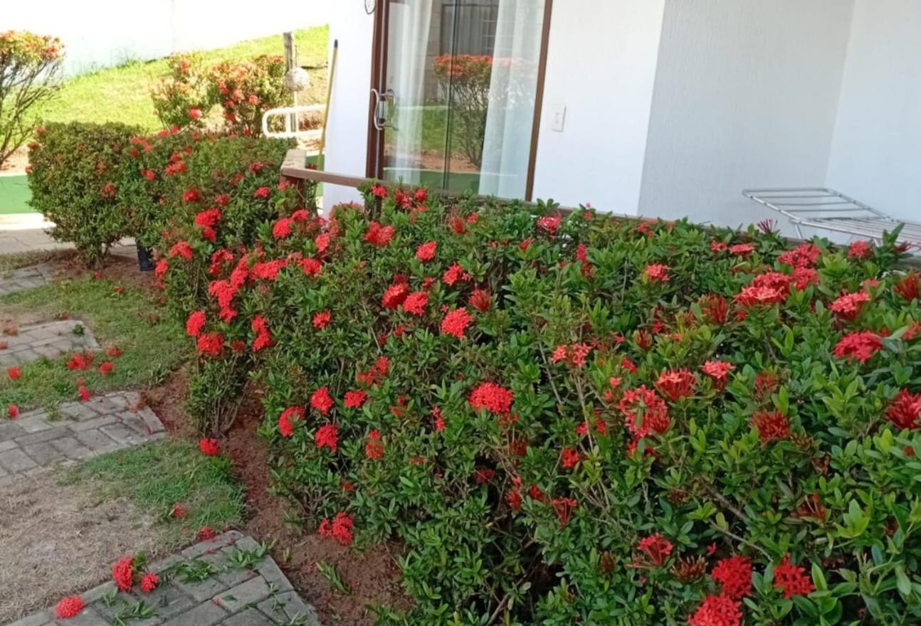 Flat Em Pipa - Brisas Do Amor Praia de Pipa Номер фото
